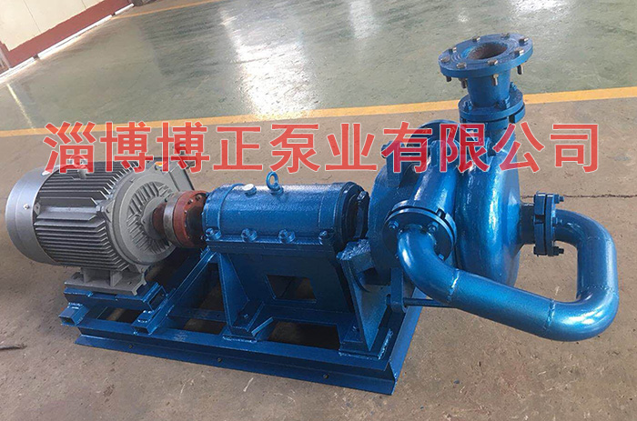 壓濾機入料泵